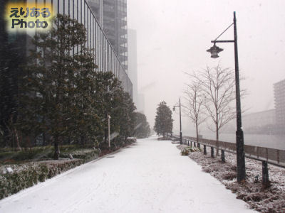 2012年2月29日の東京・豊洲の雪