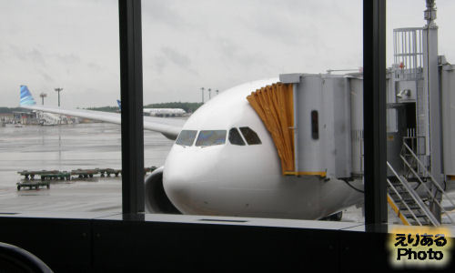 成田空港第1ターミナルのガルーダ・インドネシア航空機