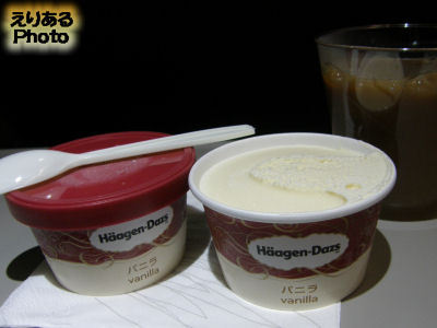 ガルーダ・インドネシア航空機内食・バニラアイスクリーム