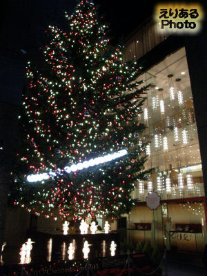 ミキモト ジャンボクリスマスツリー２０１２
