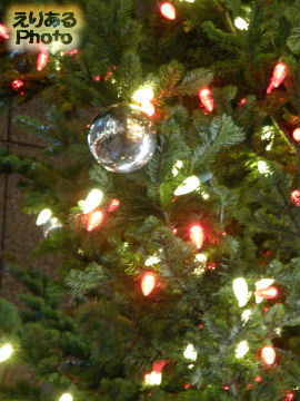 ミキモト ジャンボクリスマスツリー２０１２