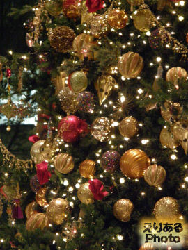 Marunouchi Bright Christmas 2012＠丸ビル