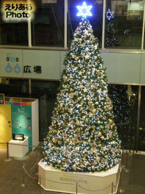 Marunouchi Bright Christmas 2012 @丸の内オアゾ