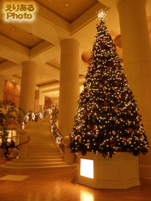 ホテル日航東京のクリスマスツリー2012