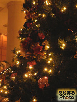 2012年ホテル日航東京のクリスマスツリー