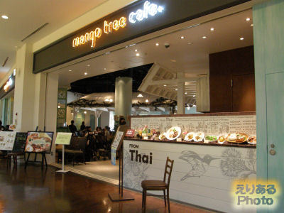 mango tree cafe（マンゴーツリーカフェ）@アーバンドックららぽーと豊洲