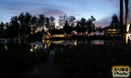 アンサナ ラグーナ プーケット（ANGSANA LAGUNA PHUKET）の夜景