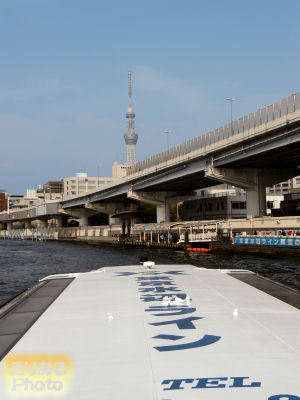 東京水辺ライン両国乗り場と東京スカイツリー