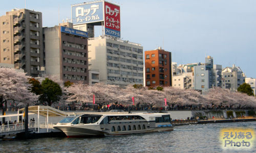 TOKYO CRUISE　東京都観光汽船株式会社の浅草乗り場